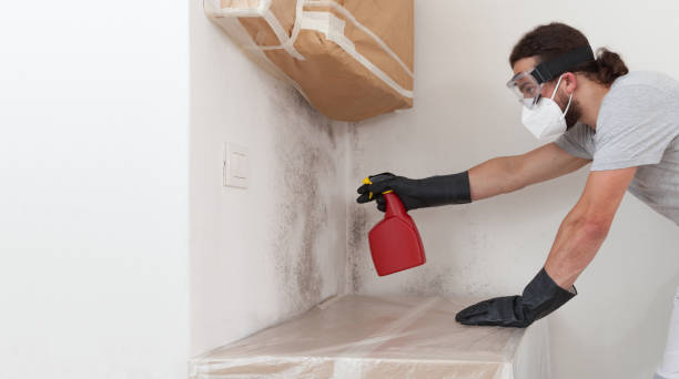 Professional Mold Remediation technician working in Nashville, MI