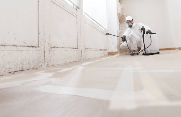 24/7 Emergency Mold Remediation experts in Nashville, MI