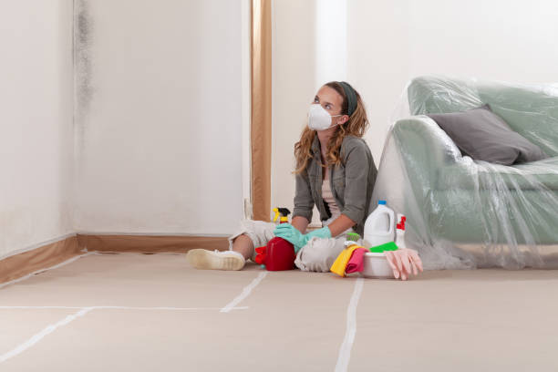 Reliable Mold Remediation contractor in Nashville, MI by Mold Remediation HQ